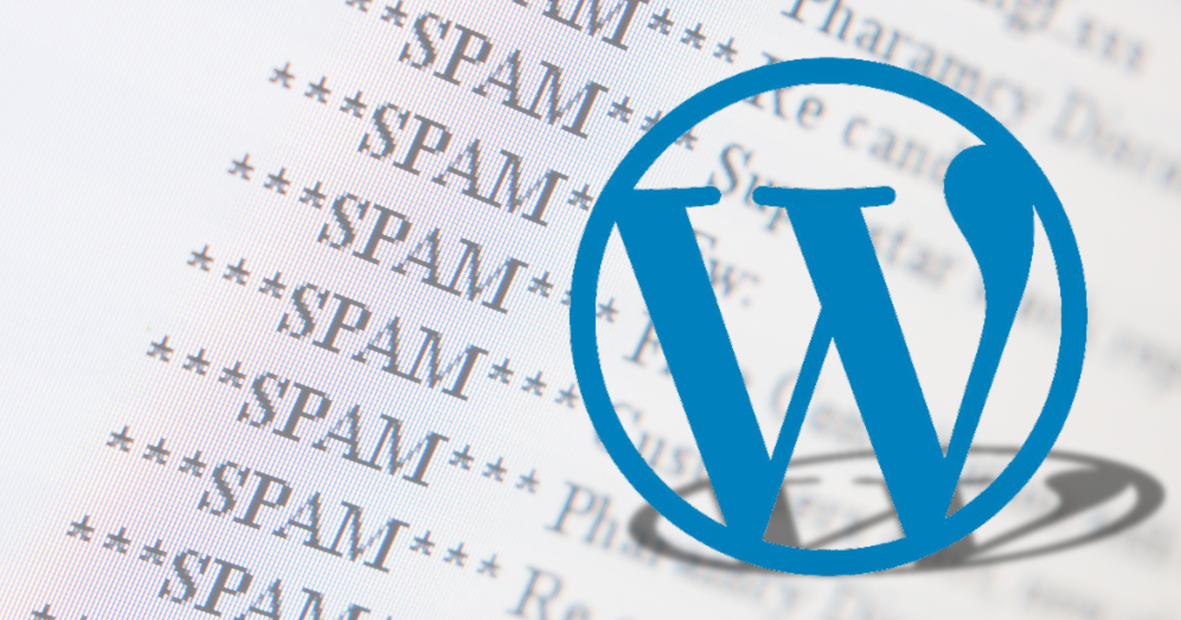 Những ảnh hưởng và tác hại của spam WordPress