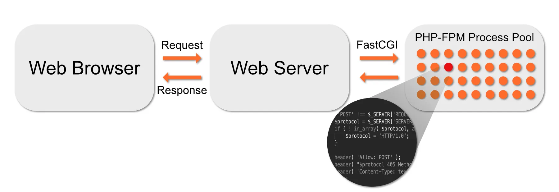 PHP-FPM Là Gì? Tìm Hiểu Về Công Nghệ Tăng Tốc PHP Cho Website