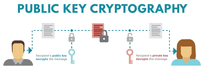 Private key và public key là hai cặp khóa bảo mật giúp bảo vệ ví điện tử của người dùng 