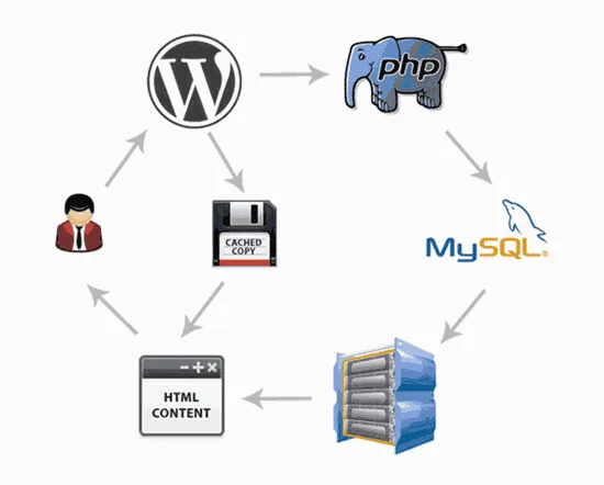 Cache là gì? Plugin Cache WordPress