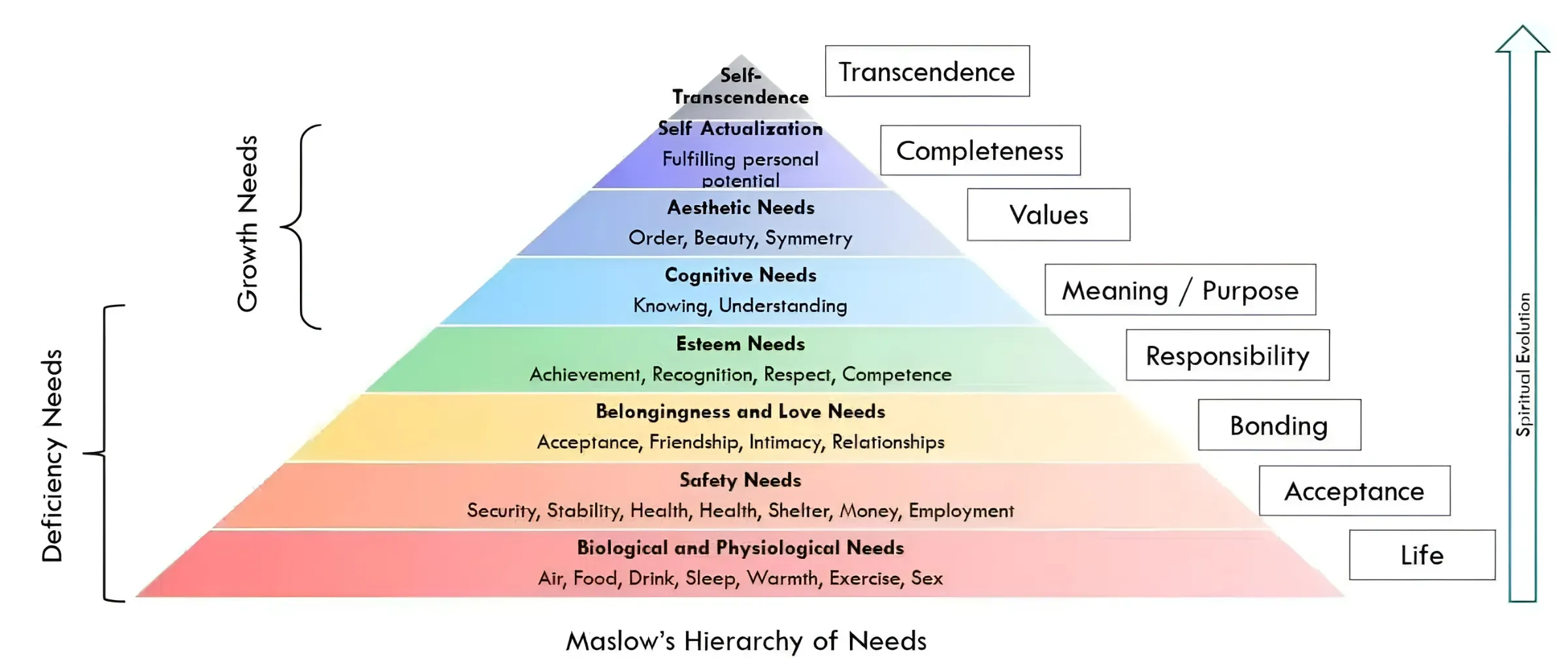 tháp nhu cầu Maslow mở rộng 8 tầng