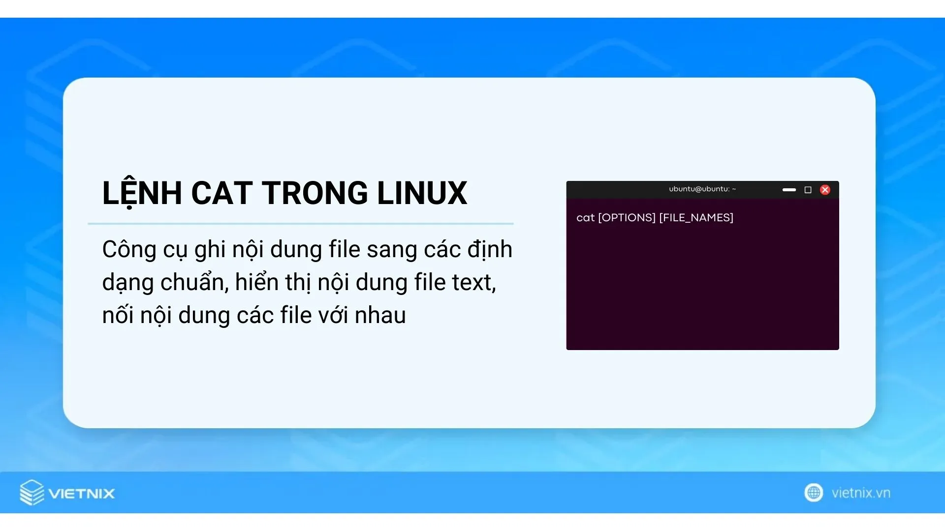 Lệnh cat trong Linux