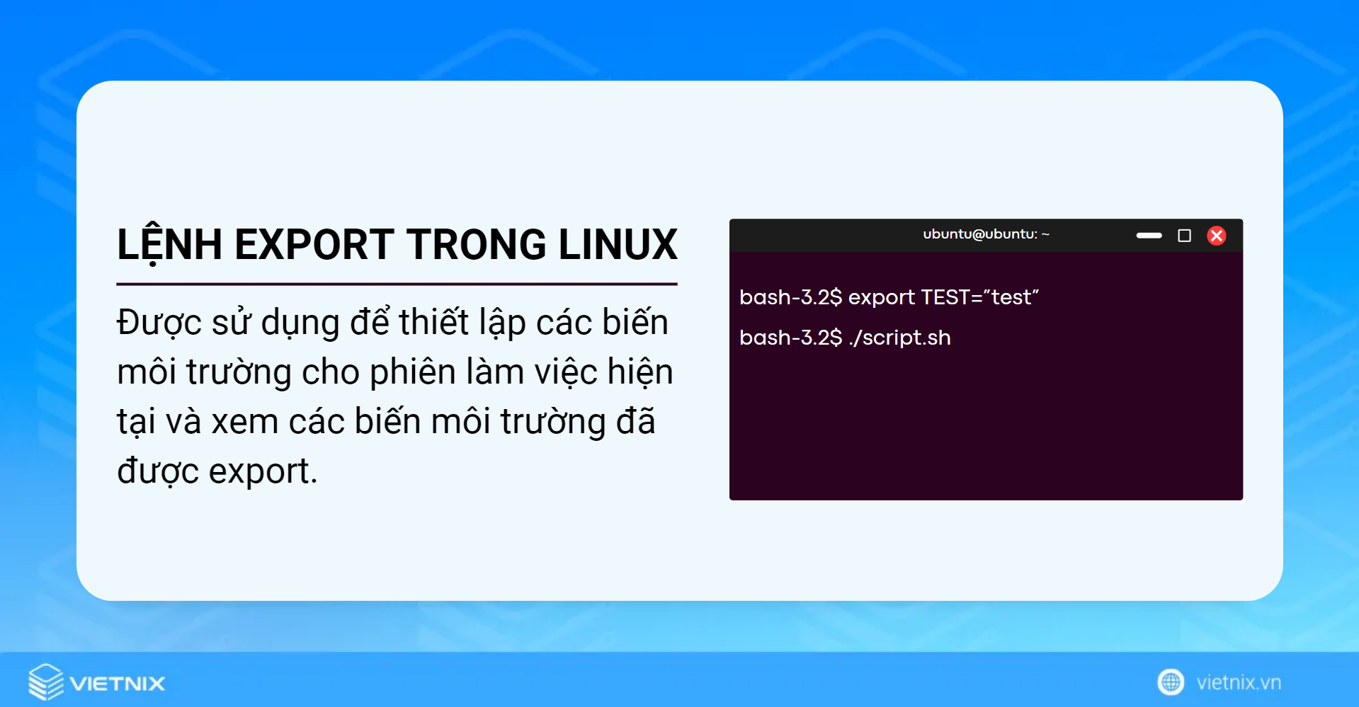 Lệnh export giúp các biến môi trường có sẵn cho các tiến trình con trong phiên làm việc