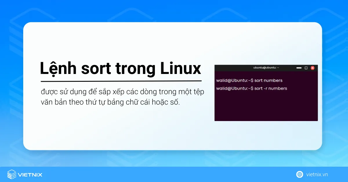 Lệnh sort là một công cụ giúp bạn sắp xếp nội dung trong file