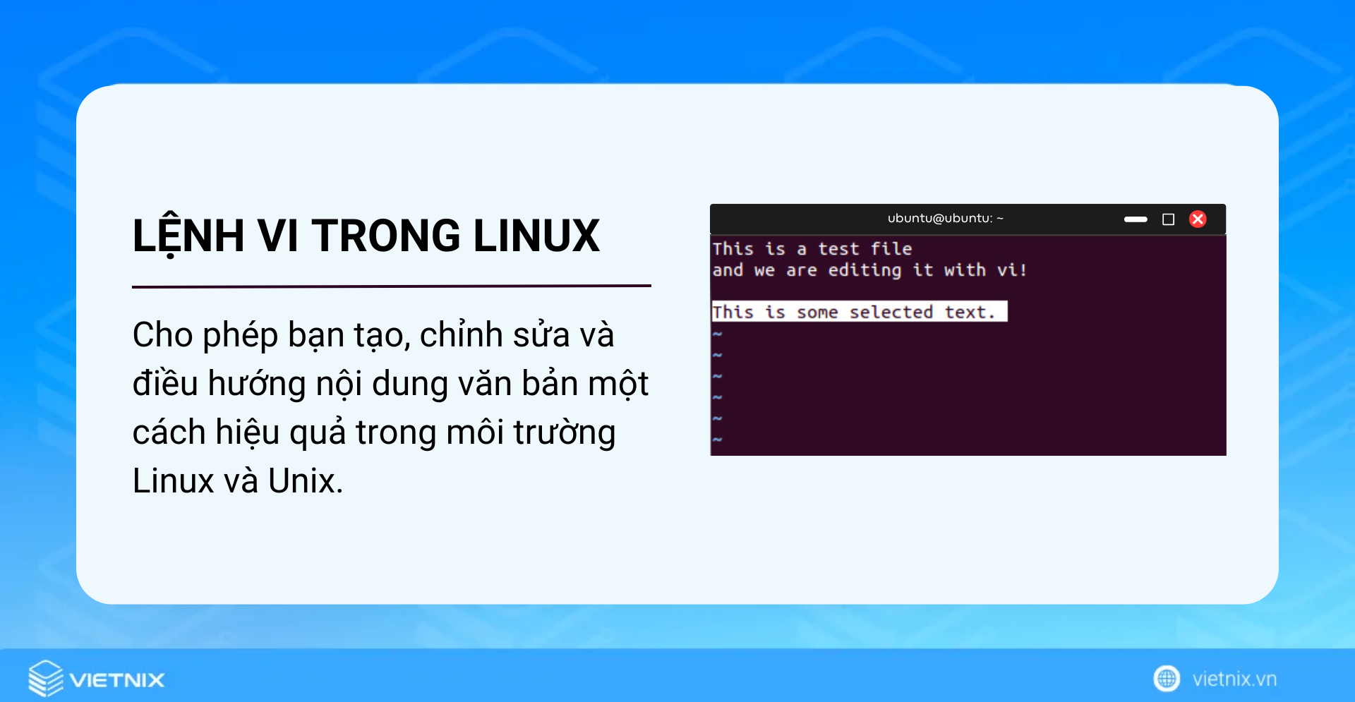 Lệnh vi trong Linux cho phép tạo, chỉnh sửa và điều hướng nội dung văn bản