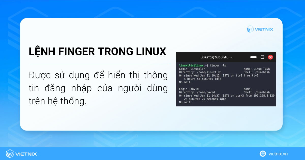 Lệnh finger trong Linux được sử dụng để hiển thị thông tin đăng nhập