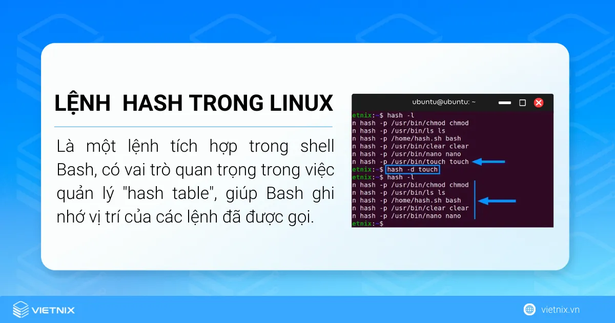 Định nghĩa lệnh hash trong Linux