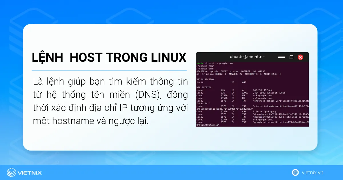 Định nghĩa lệnh host trong Linux